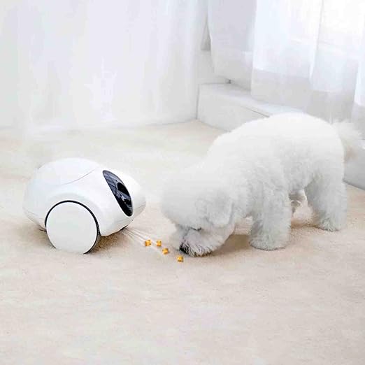 Pet Camera with Treat Dispenser