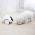 Pet Camera with Treat Dispenser