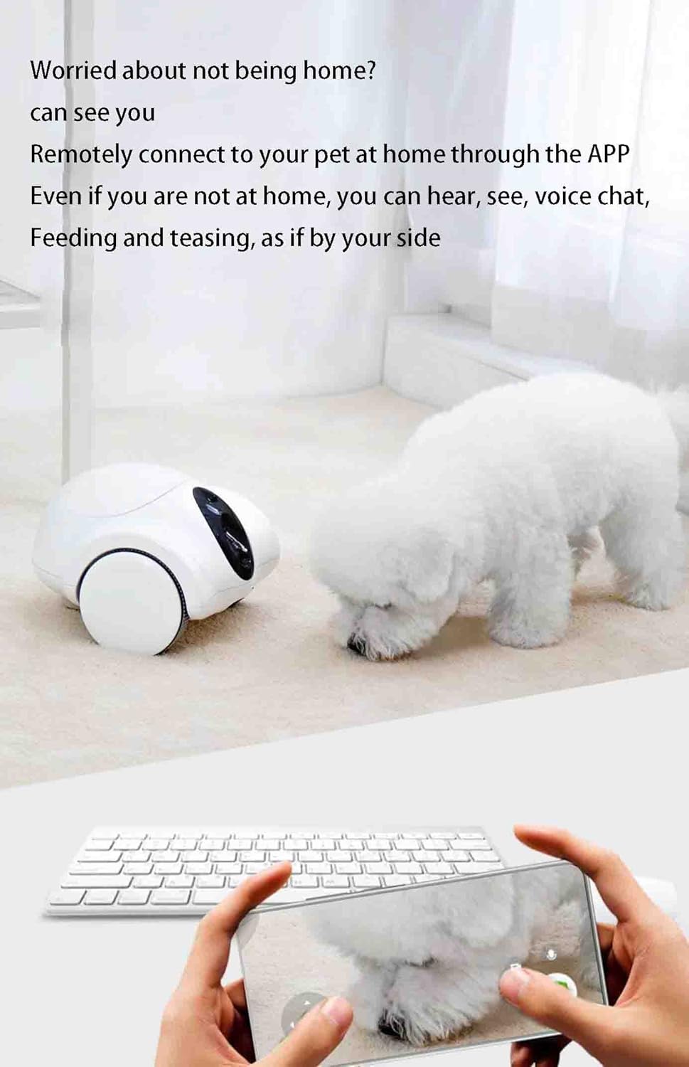 Pet Camera with Treat Dispenser