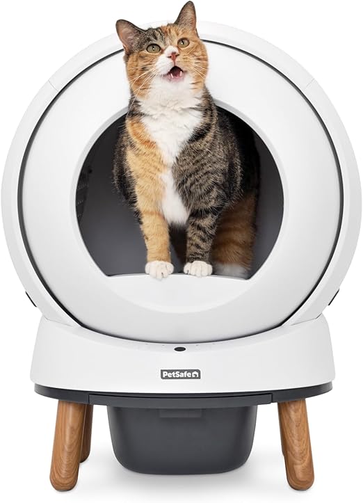 Self-Cleaning Litter Box