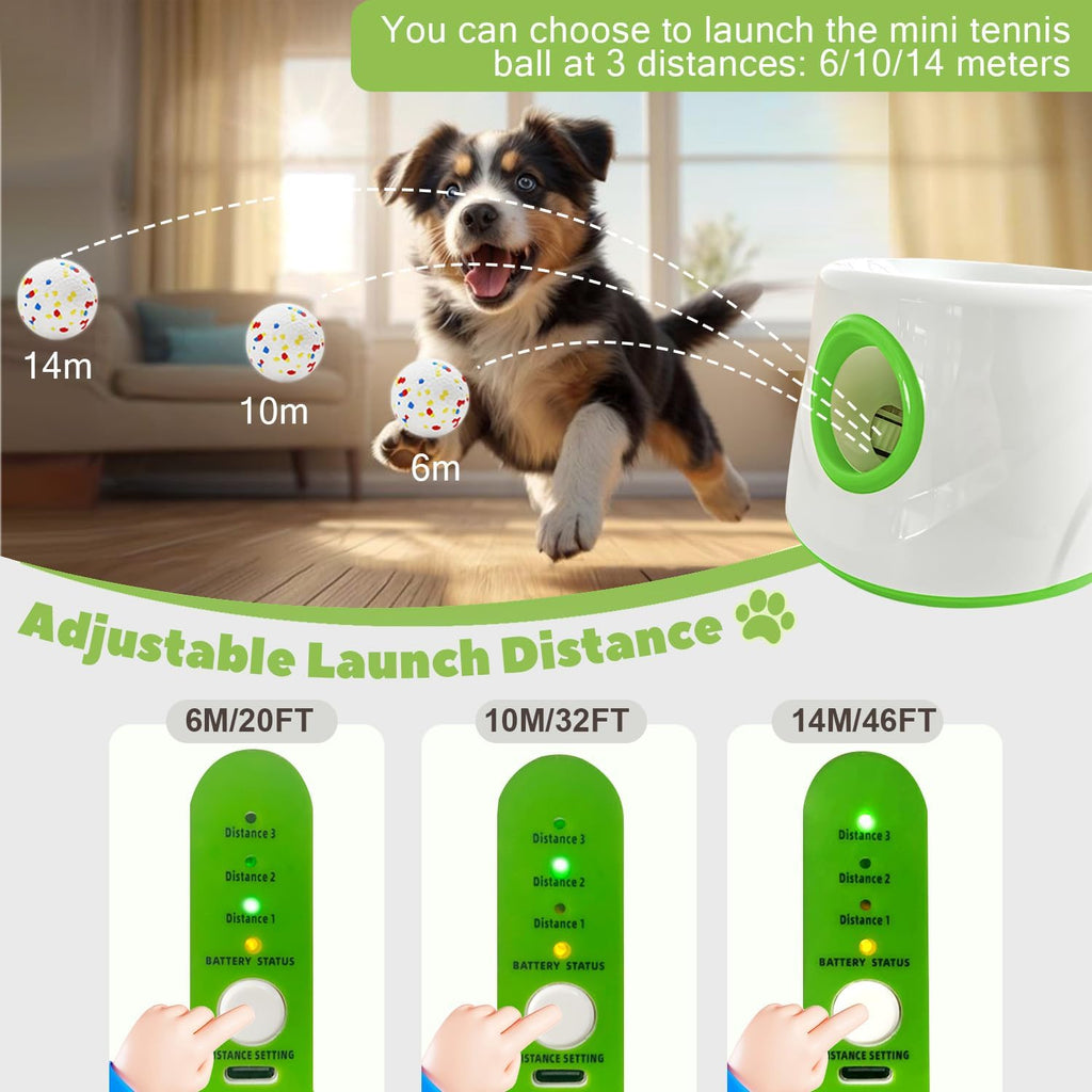 Automatic Dog Ball Launcher
